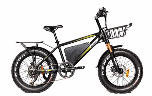 FT750XP-20LE Limited Edition Black Fat Tire E-Bike W/ 20" Wheels